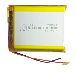 باتری لیتیوم پلیمر DM-CELL مدل 955565 ظرفیت 5000 میلی آمپر ساعت